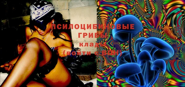 PSILOCYBIN Белокуриха