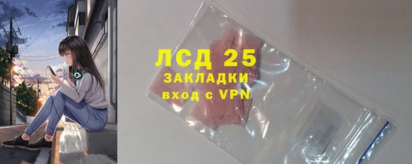 PSILOCYBIN Белокуриха