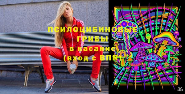 PSILOCYBIN Белокуриха