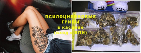 PSILOCYBIN Белокуриха