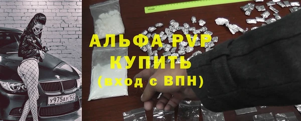 PSILOCYBIN Белокуриха