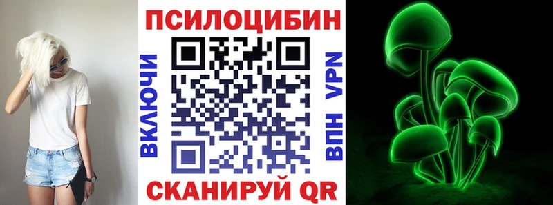 как найти   Великий Устюг  Галлюциногенные грибы Cubensis 